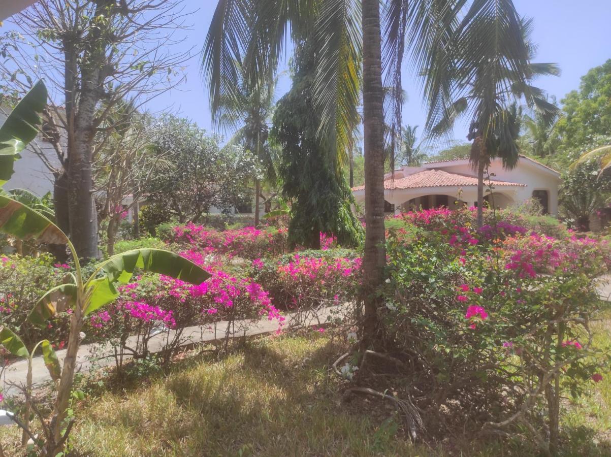 2Livu Villas 瓦塔穆 外观 照片