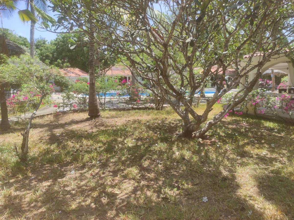 2Livu Villas 瓦塔穆 外观 照片